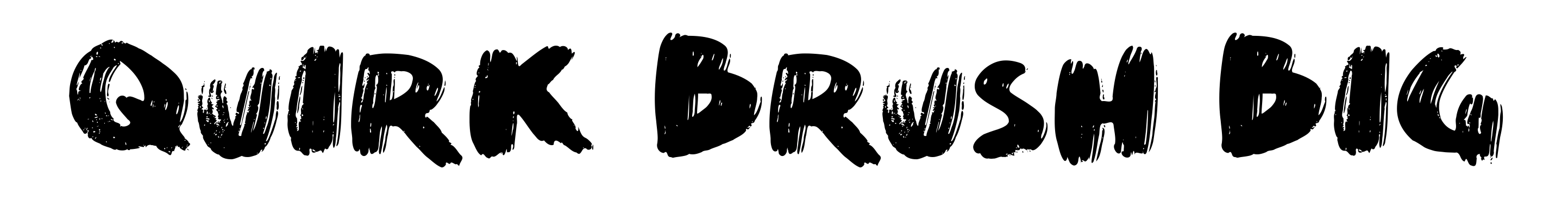Quirk Brush Big