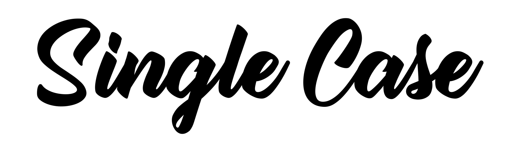 Single Case