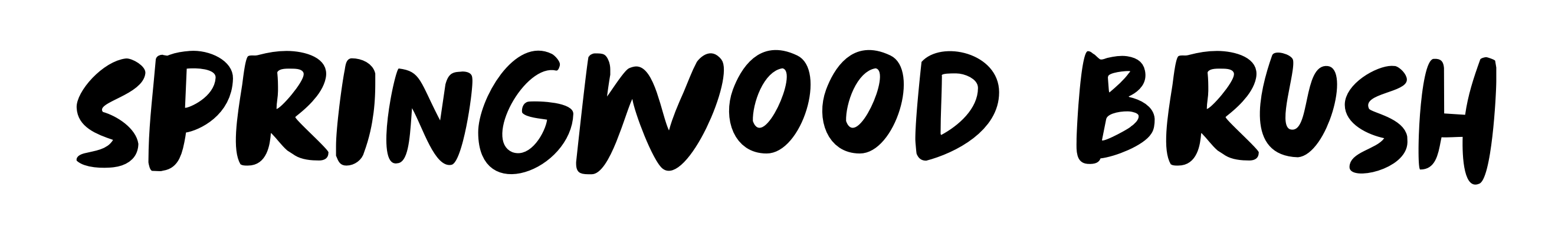 Springwood Brush