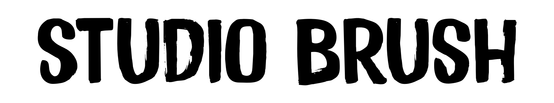 Studio Brush