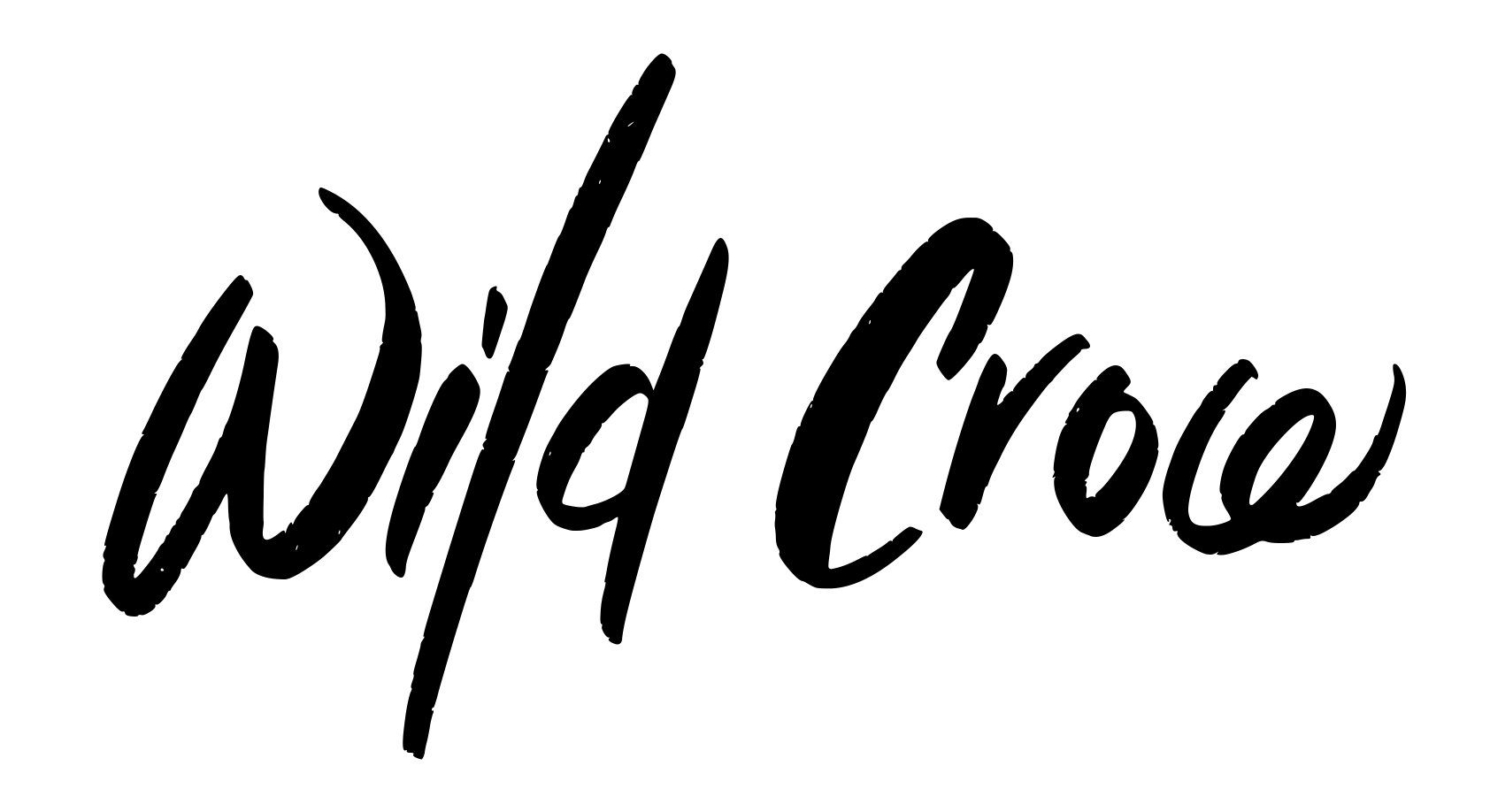 Wild Crow