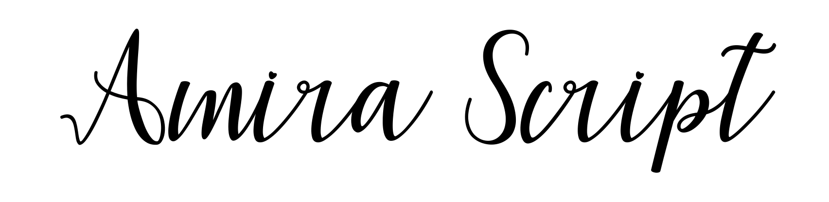 Amira Script