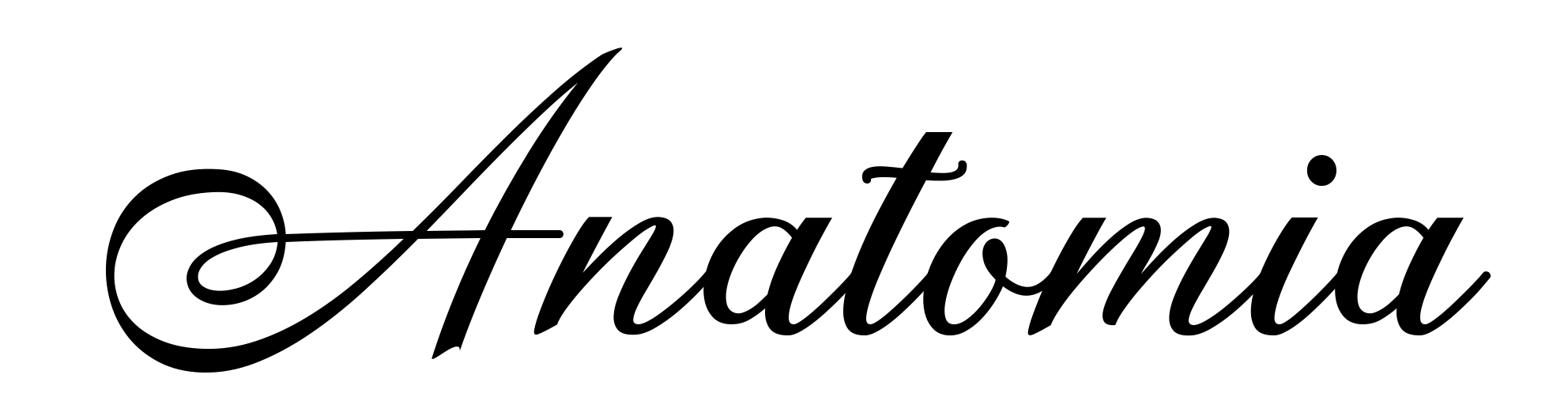 Anatomia