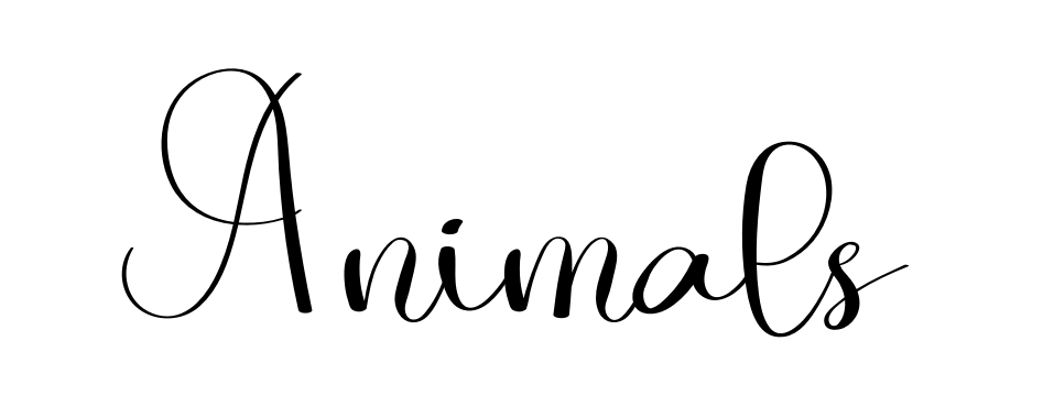 Animals