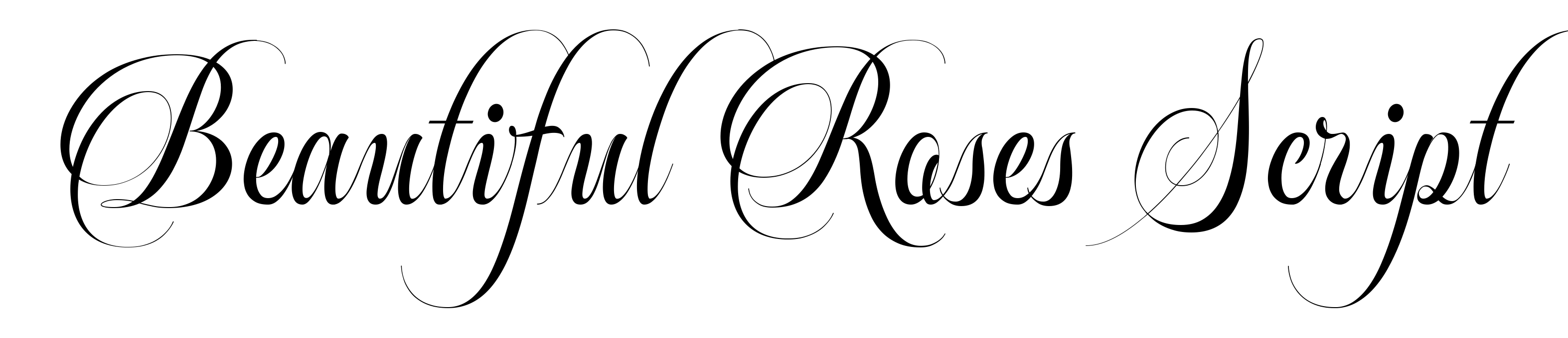 Beautiful Roses Script