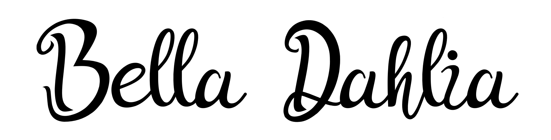 Bella Dahlia