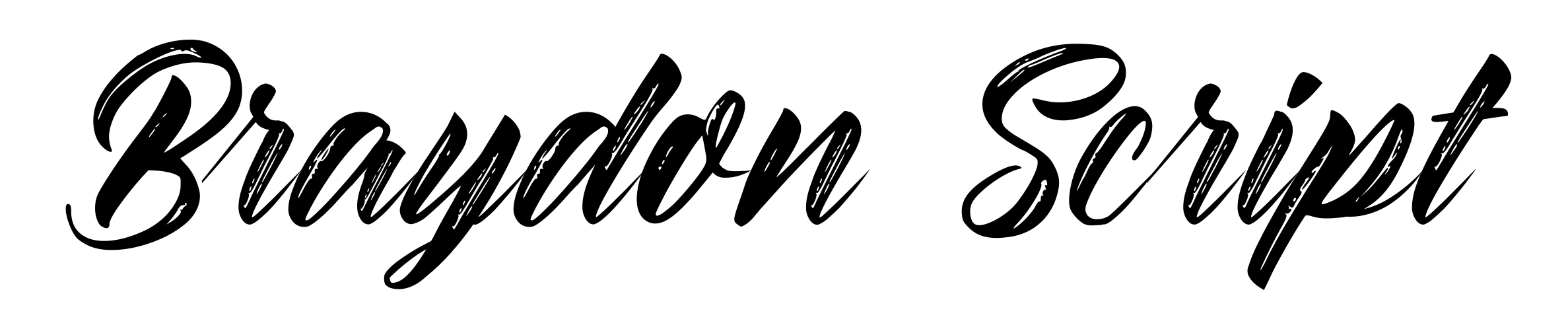 Braydon Script