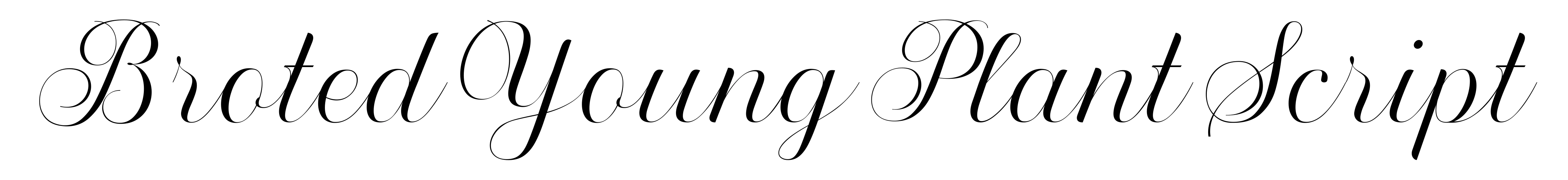 Broted Young Plant Script