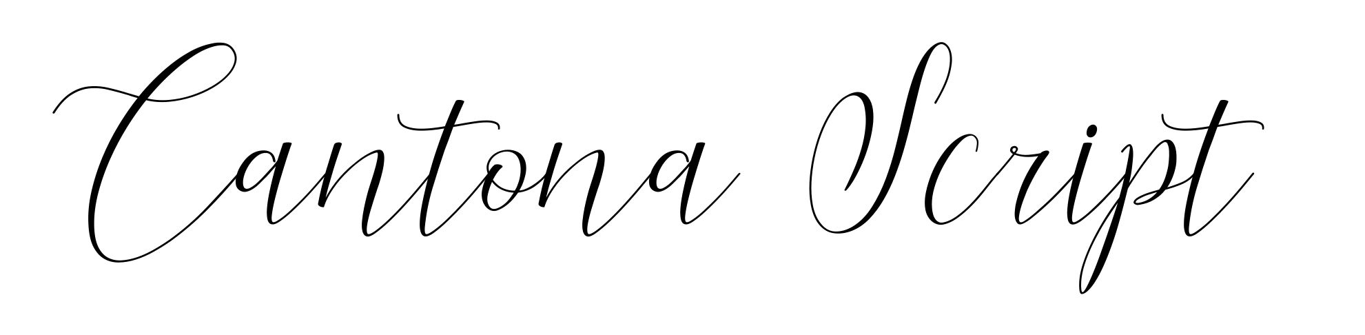 Cantona Script