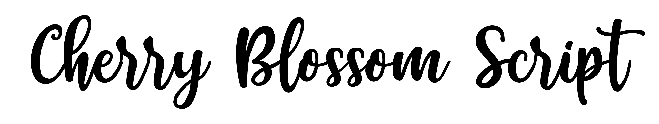 Cherry Blossom Script