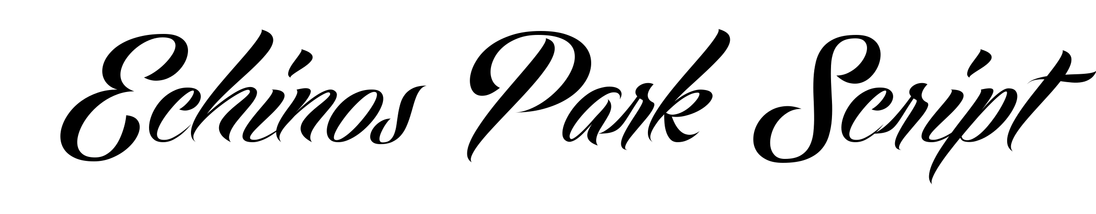 Echinos Park Script