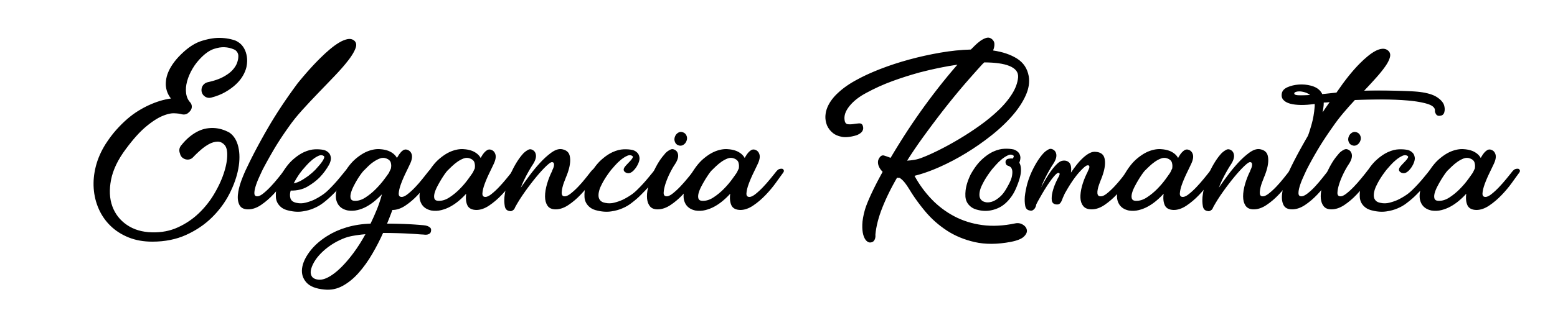 Elegancia Romantica