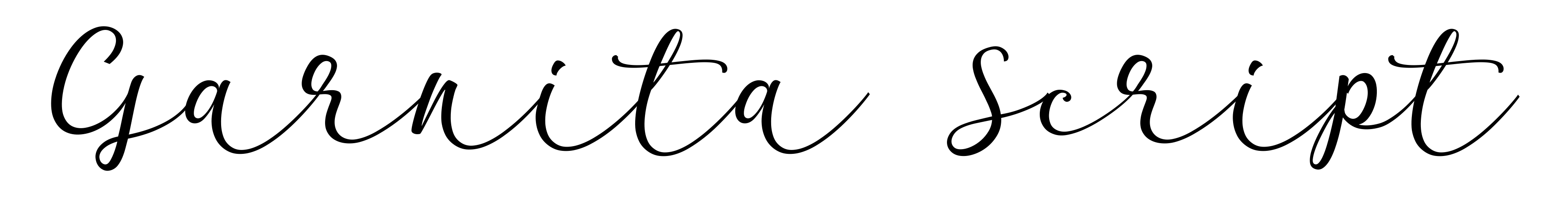 Garnita Script