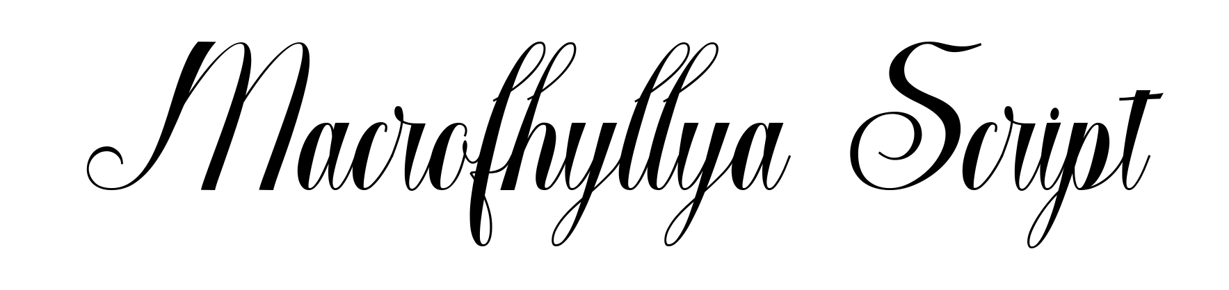Macrofhyllya Script