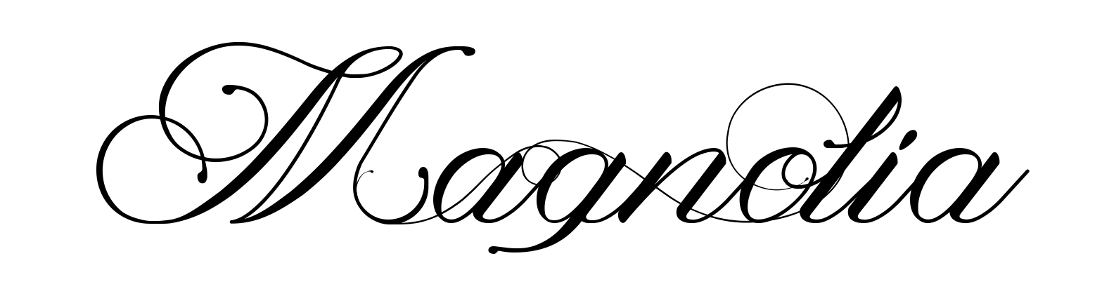 Magnolia