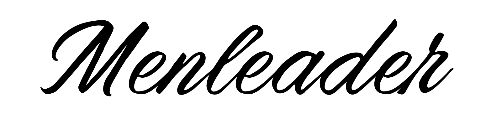 Menleader