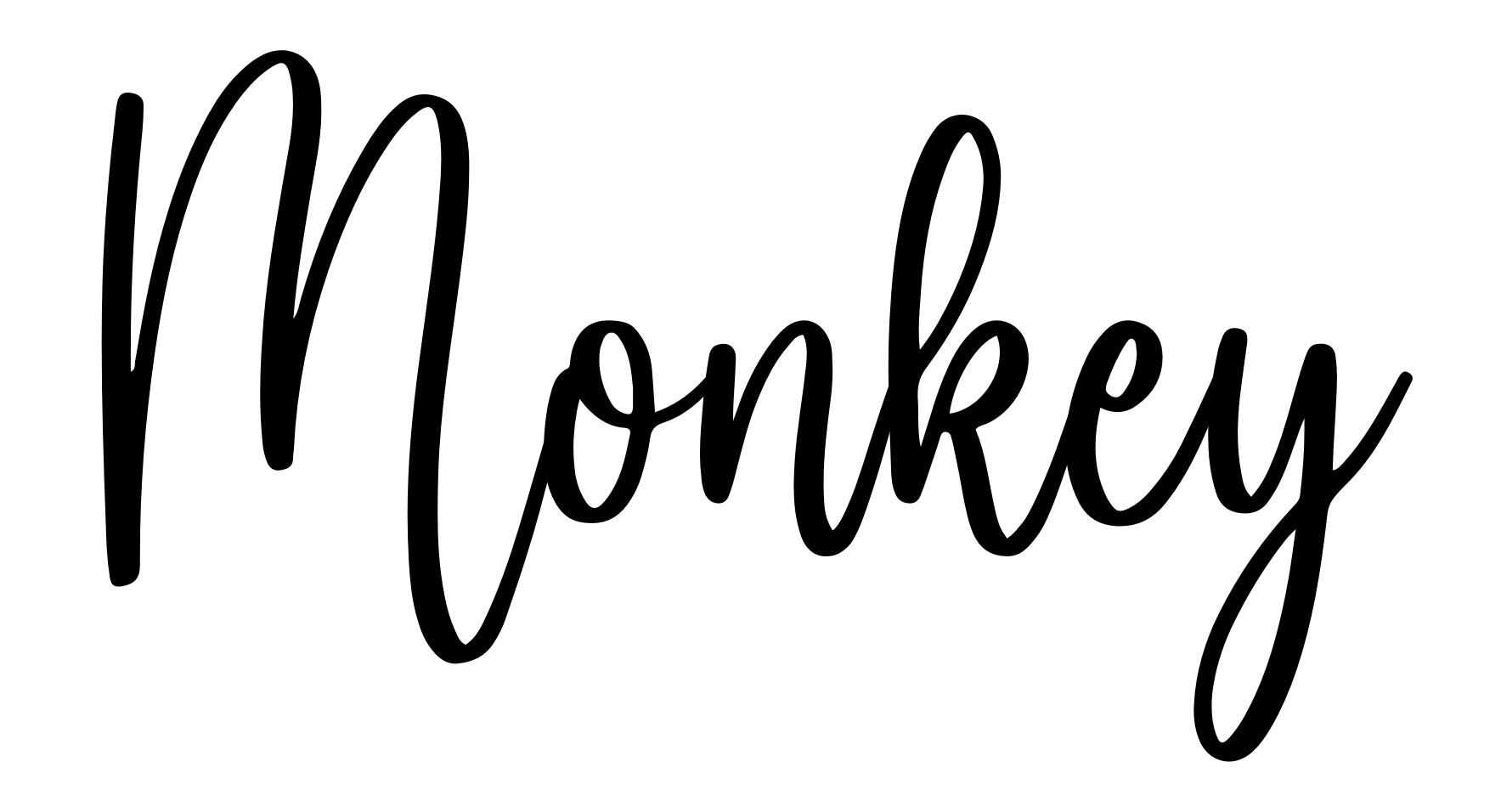 Monkey