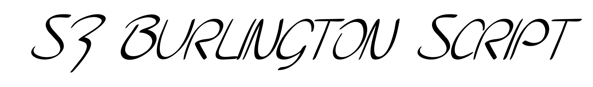SF Burlington Script