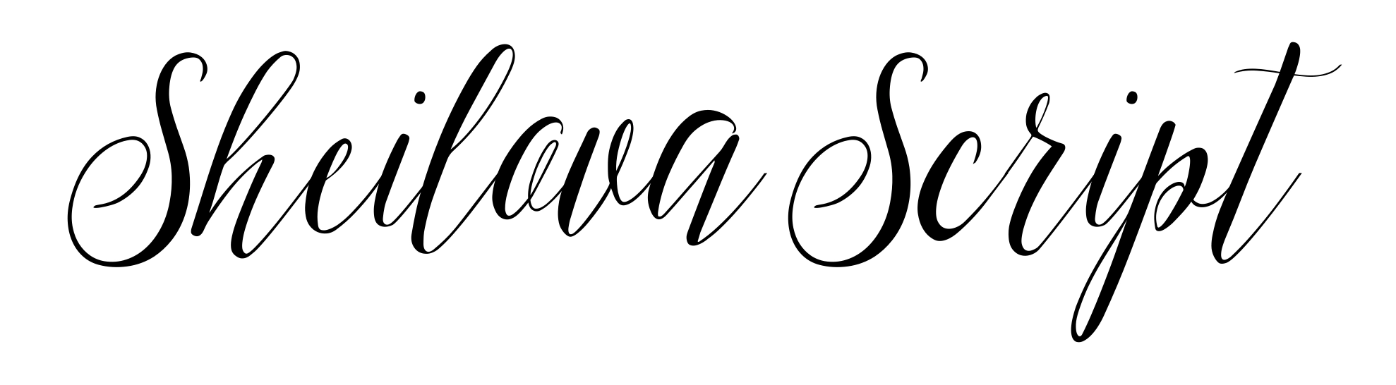 Sheilova Script