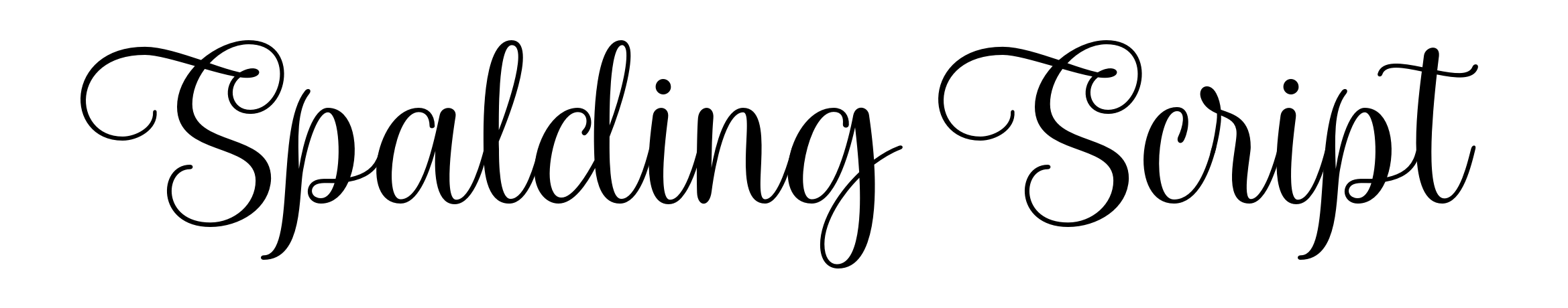 Spalding Script