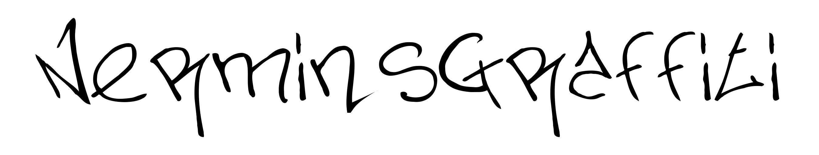 Nermins Graffiti