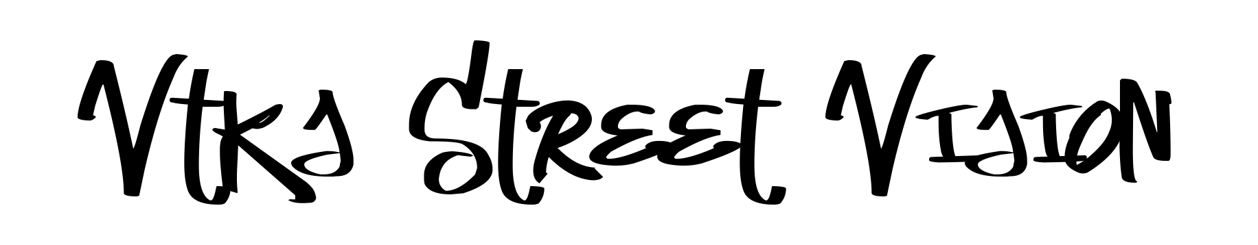 Vtks Street Vision