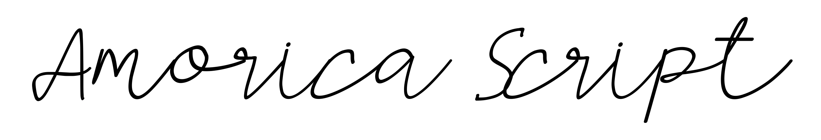Amorica Script