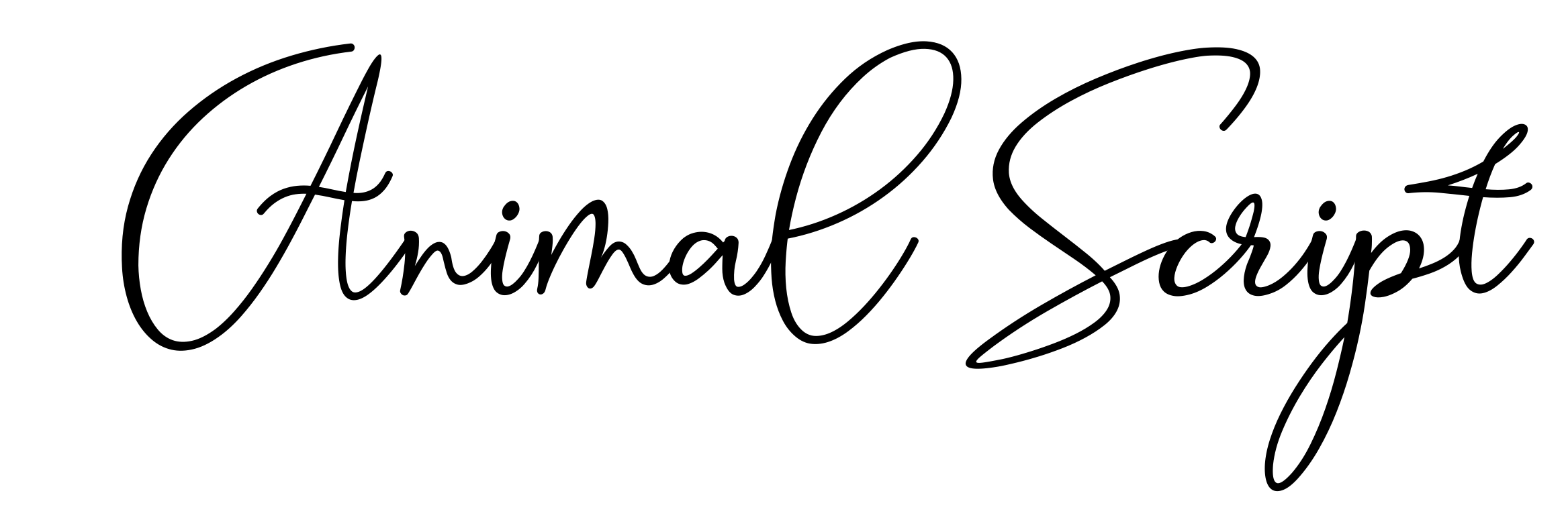 Animal Script