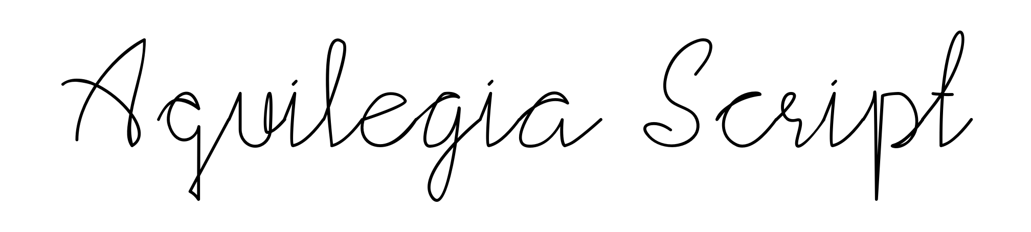 Aquilegia Script