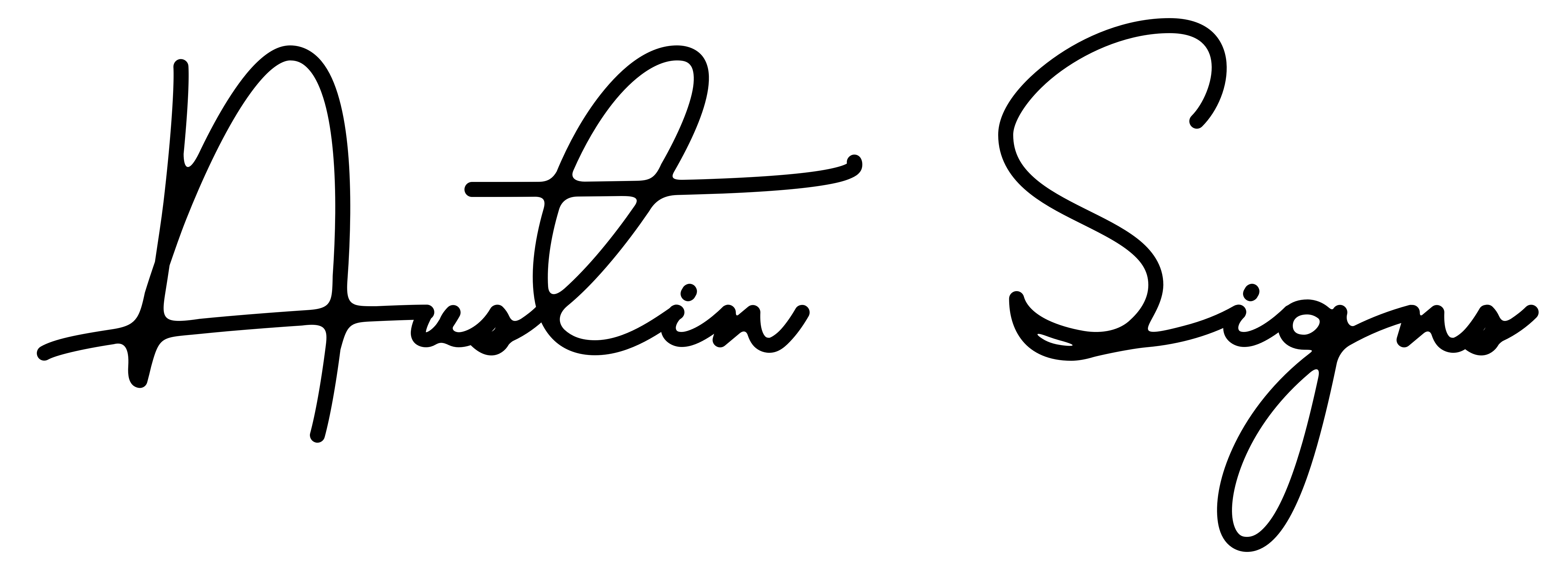 Austin Signs