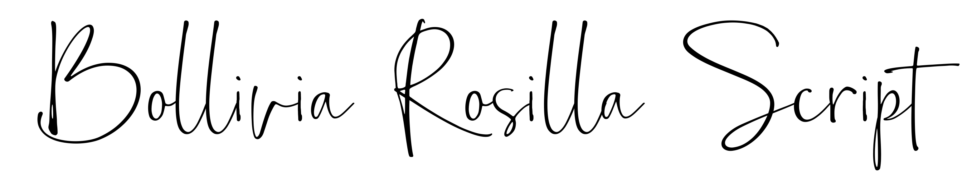 Bollivia Rosilla Script