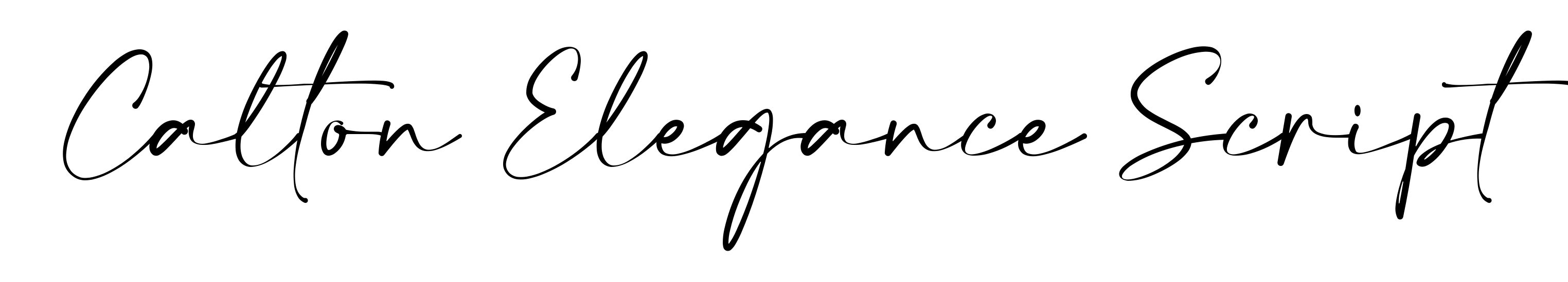 Calton Elegance Script