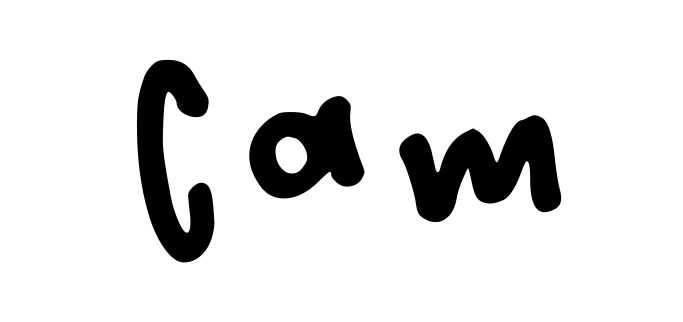 Cam