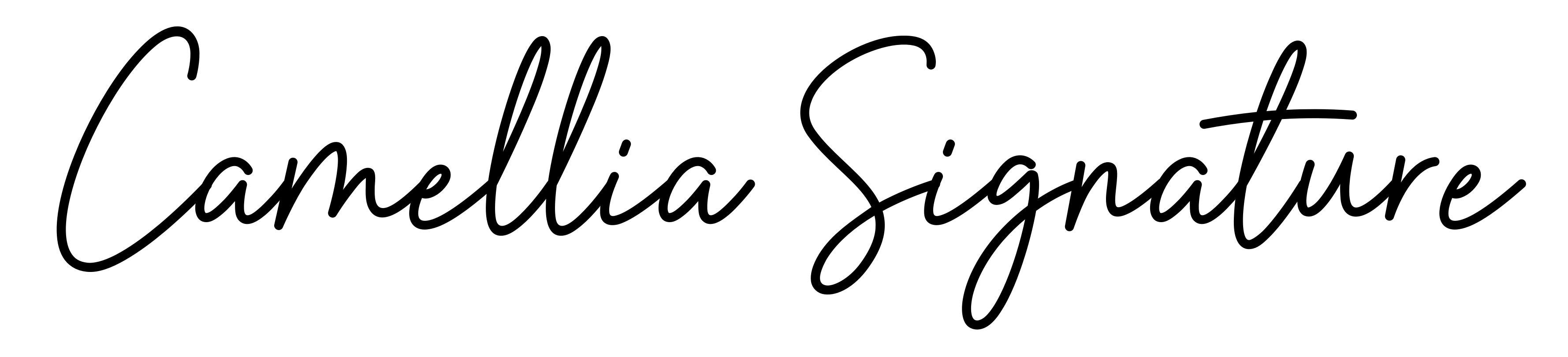 Camellia Signature