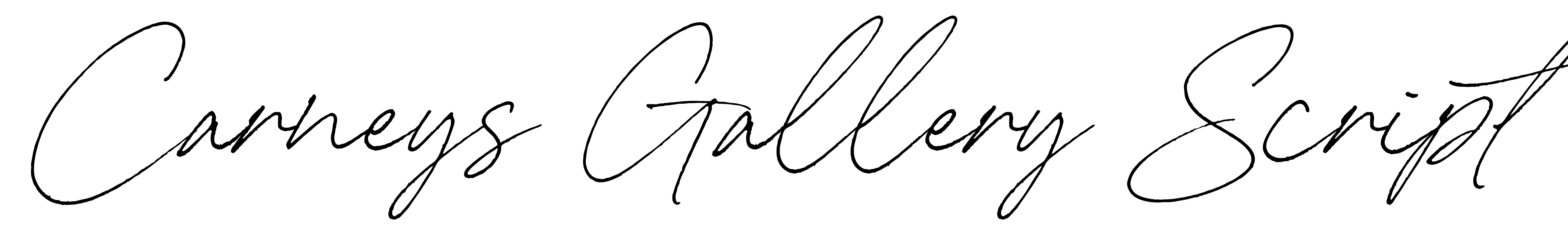 Carneys Gallery Script
