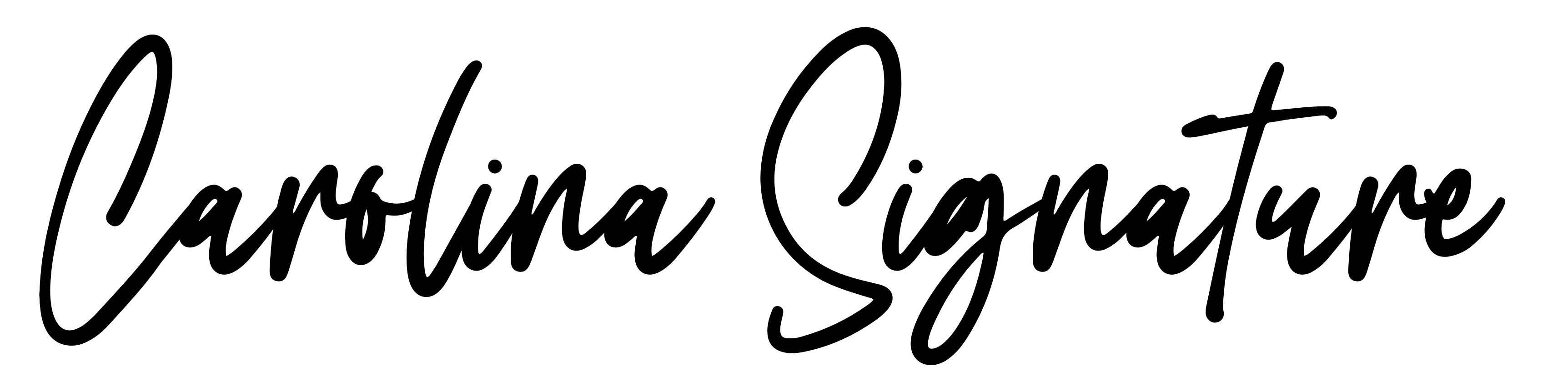 Carolina Signature