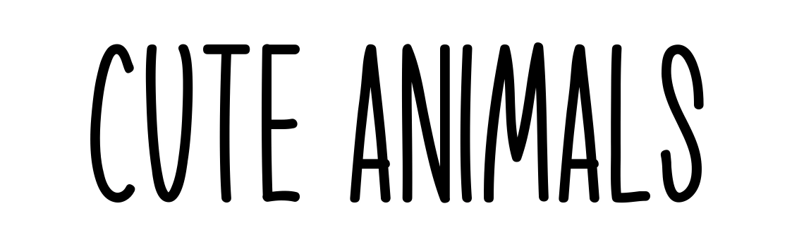 Cute Animals