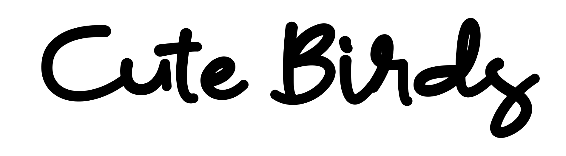 Cute Birds