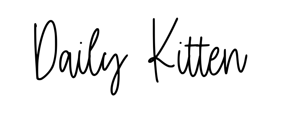 Daily Kitten