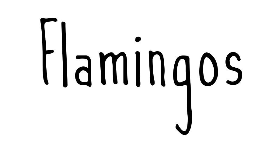 Flamingos