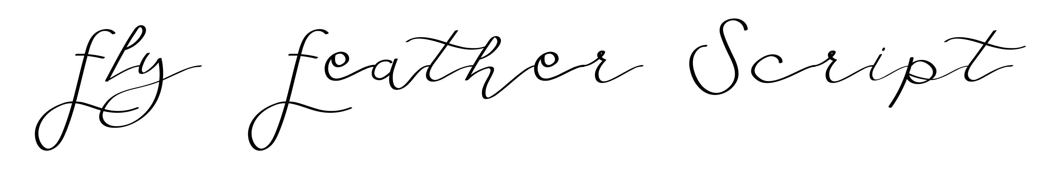 Fly Feather Script