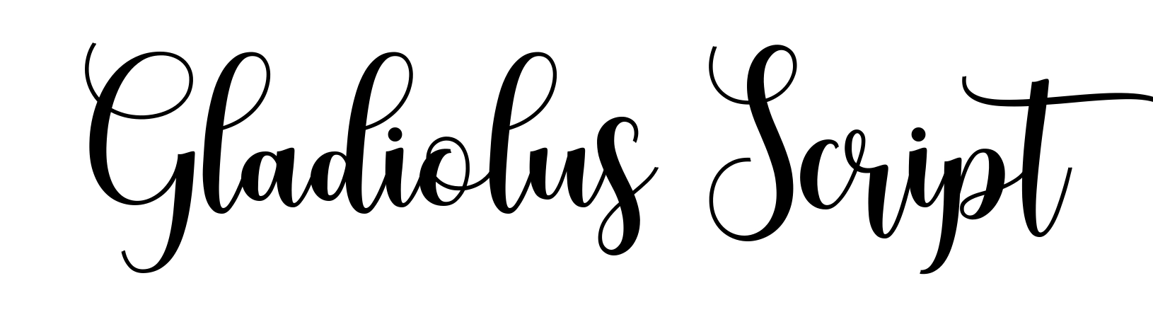 Gladiolus Script