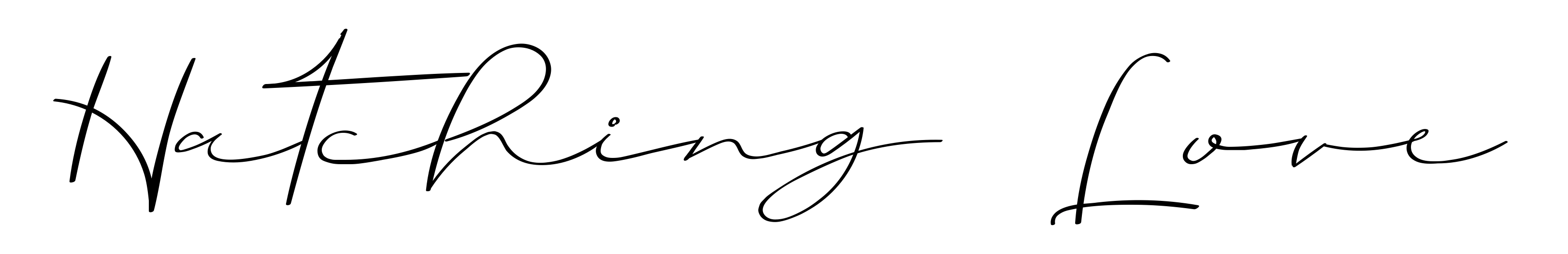 Hatching Love