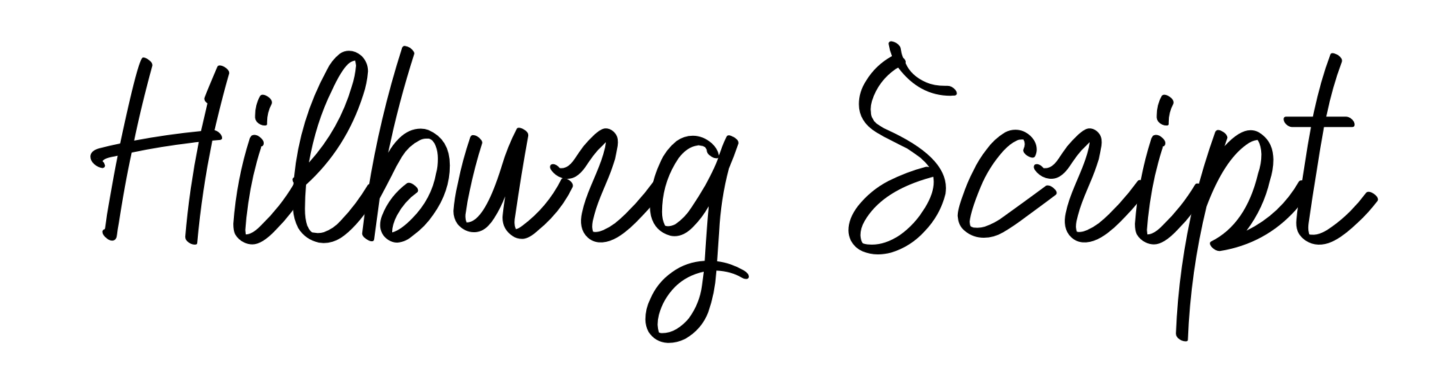 Hilburg Script