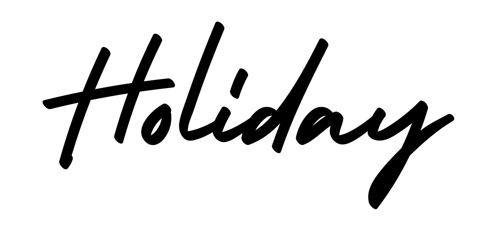 Holiday