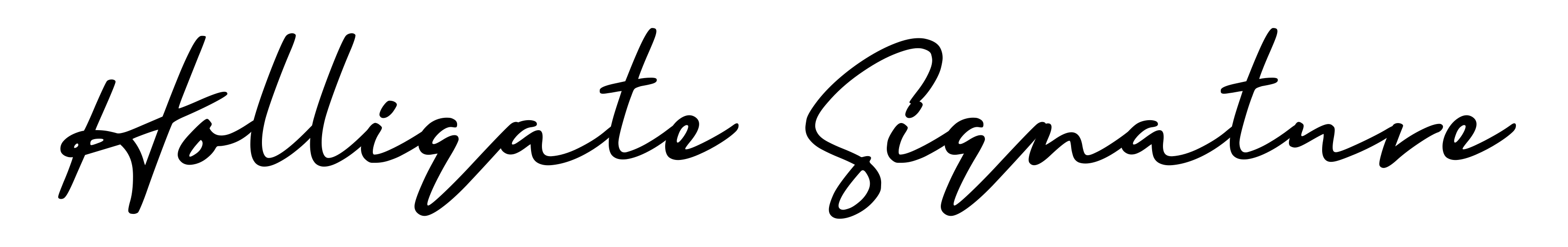 Holligate Signature