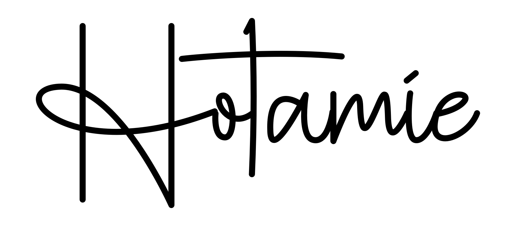 Hotamie