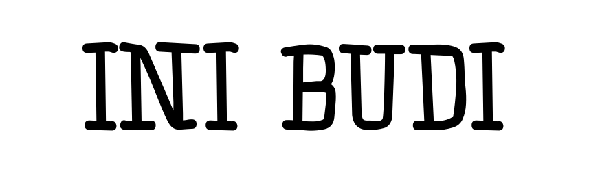 Ini Budi