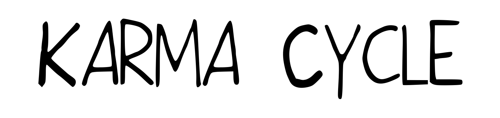 Karma Cycle
