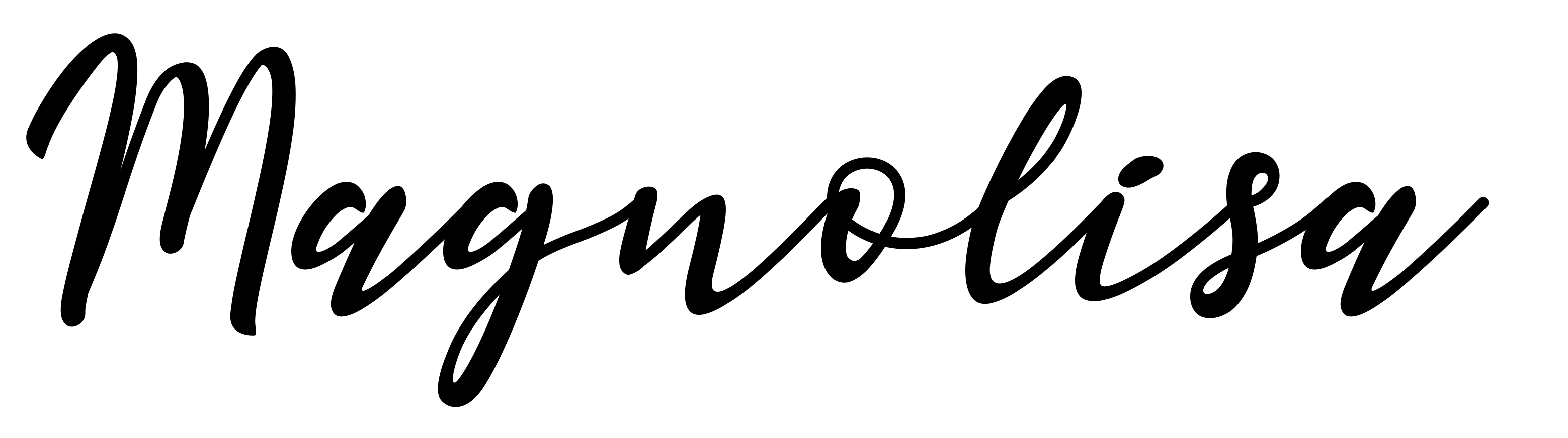 Magnolisa
